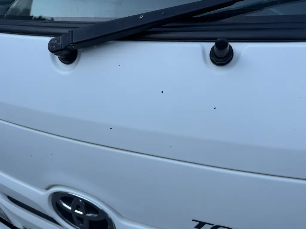 車両写真